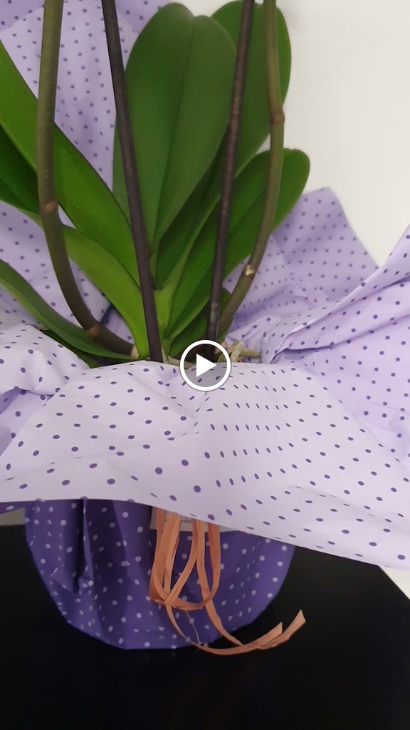 AXA Oficina DEVESA SAVAL,ANTONIO