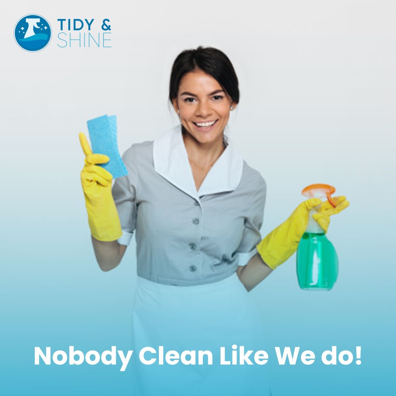 Tidy And Shine Cleaning