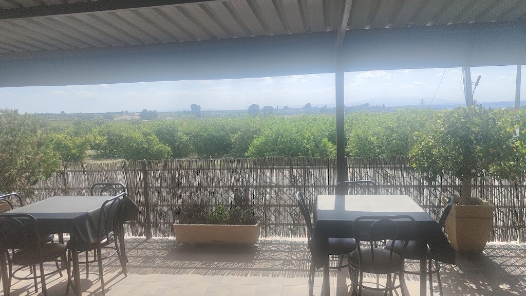 Restaurante Luis — Ambiente