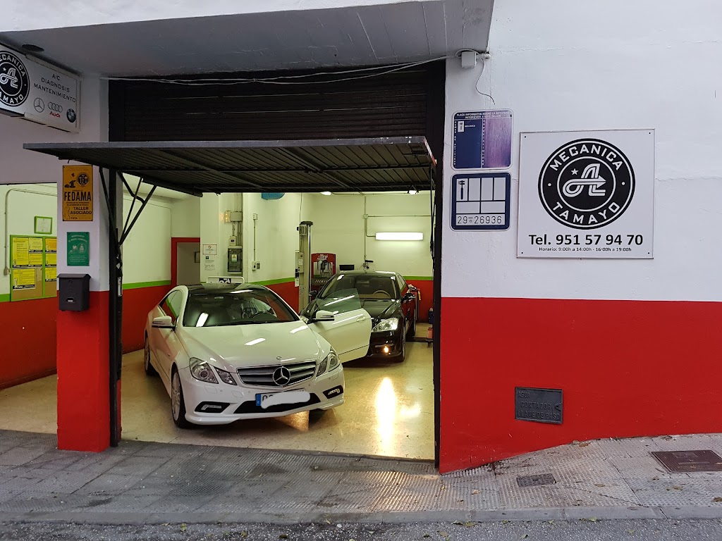 Mecanica Tamayo