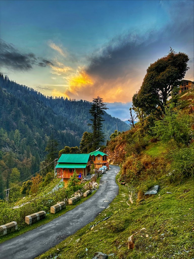 The Misty Wilds Home