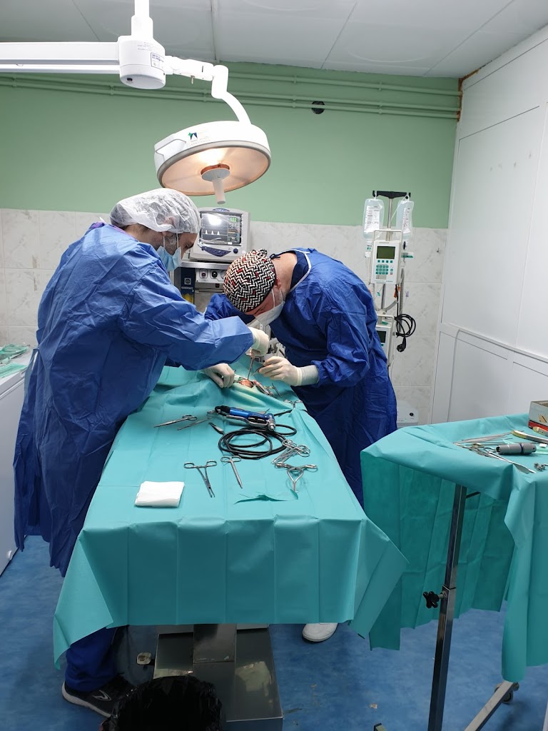 Clinica Veterinaria Dog Moixet 24h Lunes a Sabados Concertado