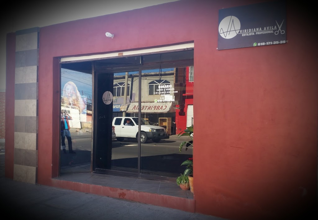 VIRIDIANA AVILA SALON