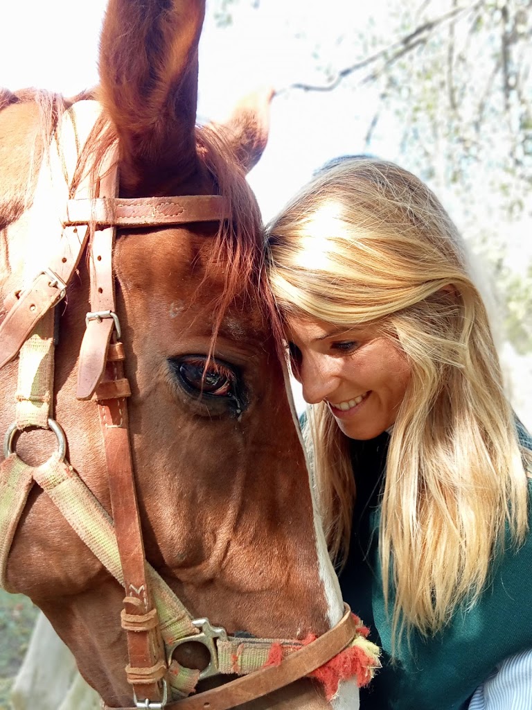 Hobby horses Cabaneros