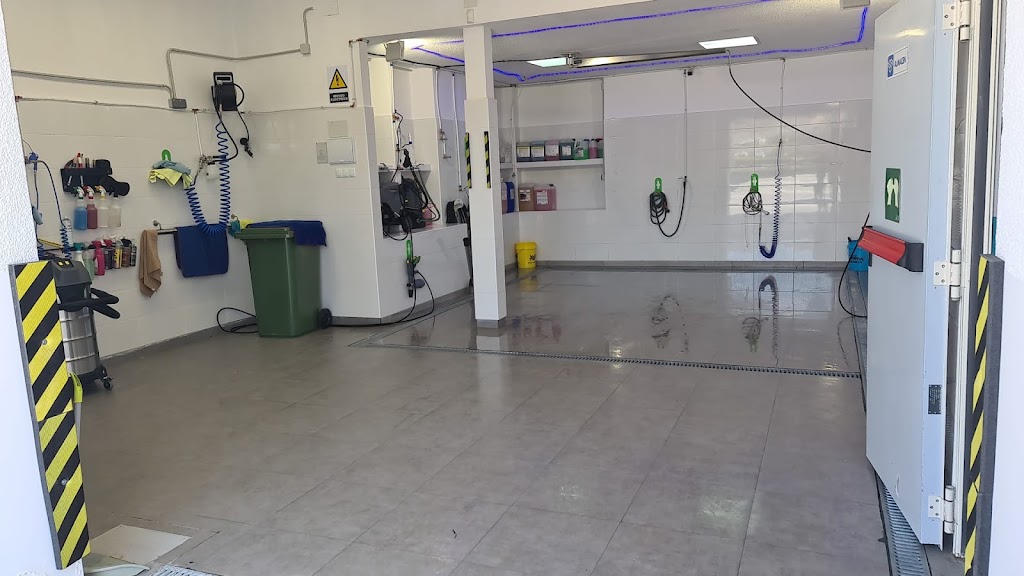 Lavado de Coches GeckoMax — Interior