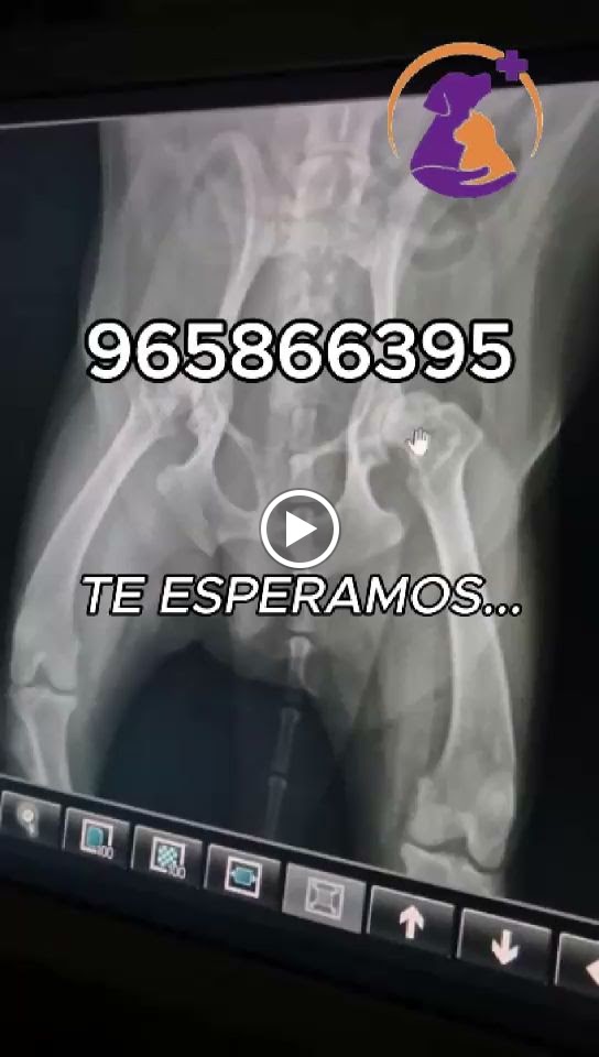 Clinica Veterinaria El Rincon — Del propietario