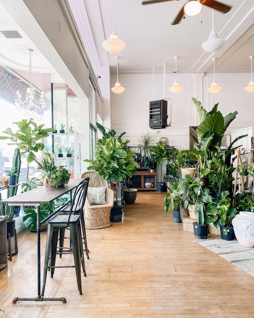 Photo of 410 Niche Coffee & Shop