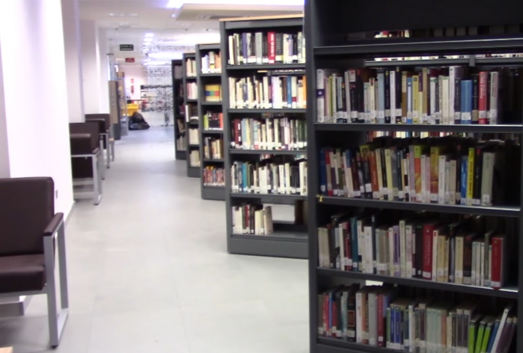 Biblioteca Publica Municipal "DOS DE MAYO" de San Martin de la Vega. — Del propietario