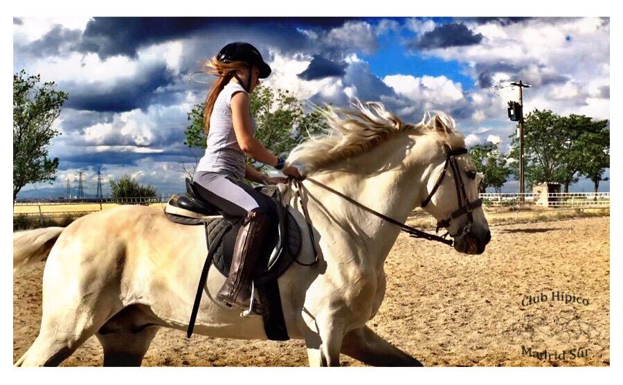 Club Hipico Madrid Sur