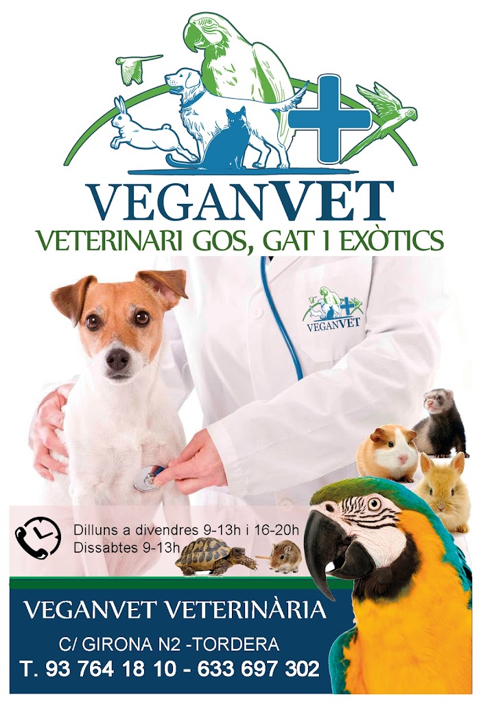 VeganVET veterinaria