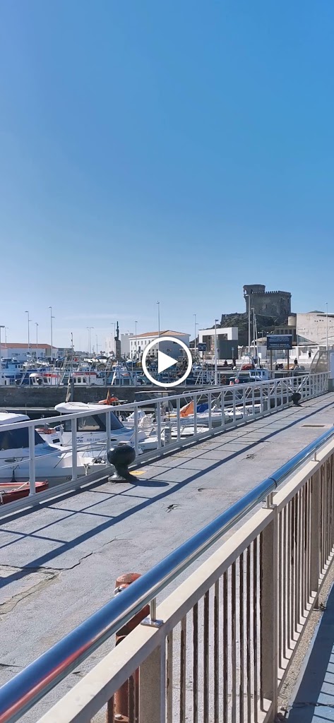 T Bus Tarifa, Puerto — Videos