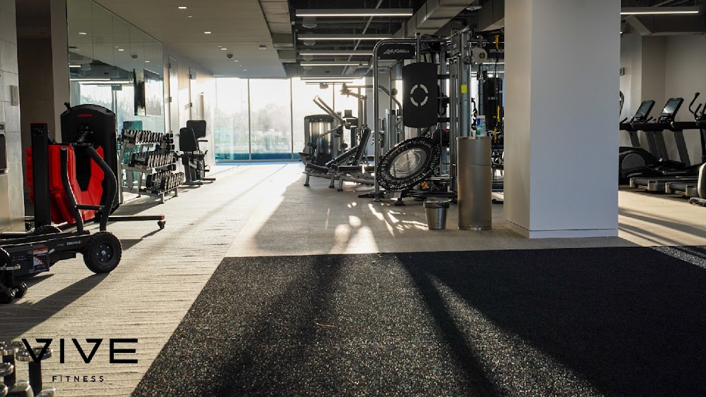  Vive Personal Training