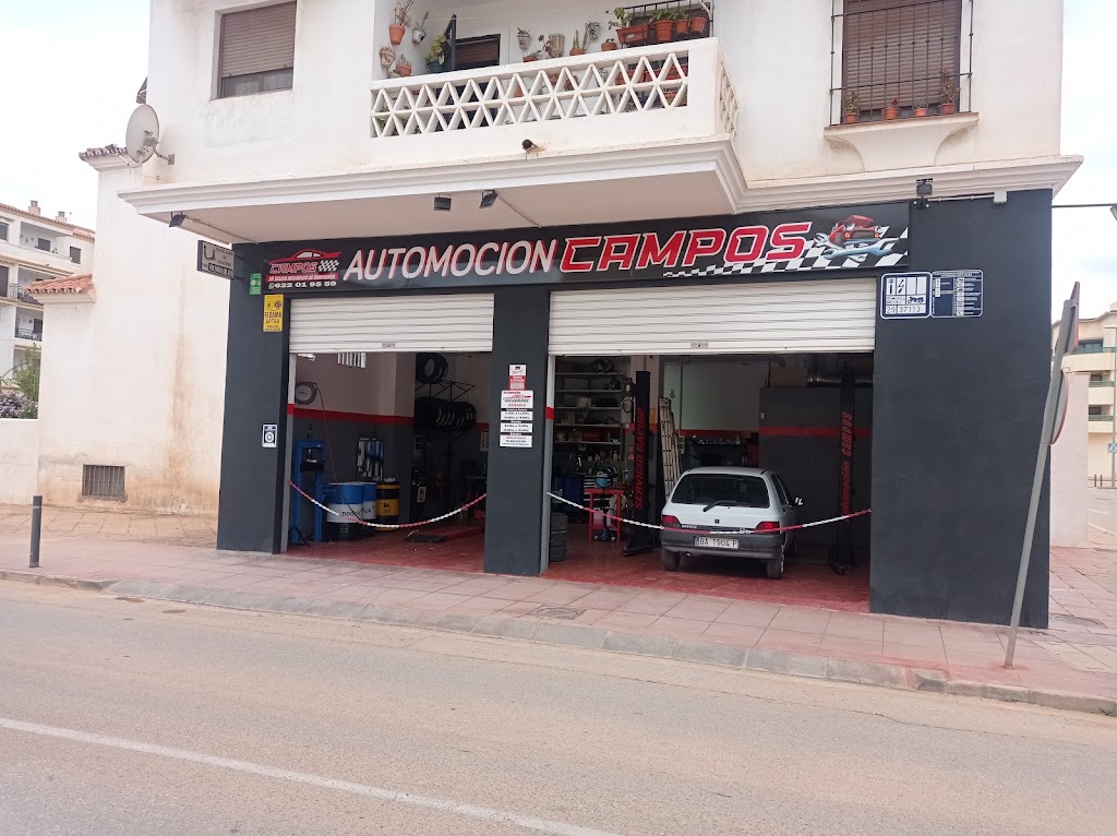 Automocion Campos — Del propietario