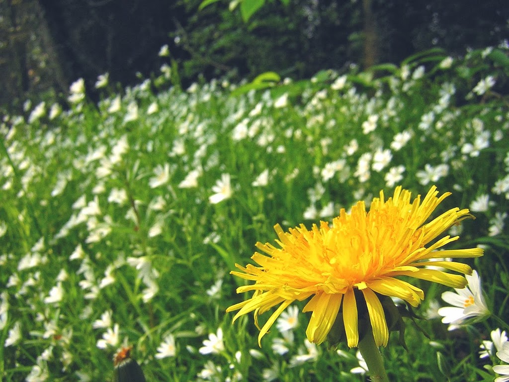 Sophia Blasco, coaching personal