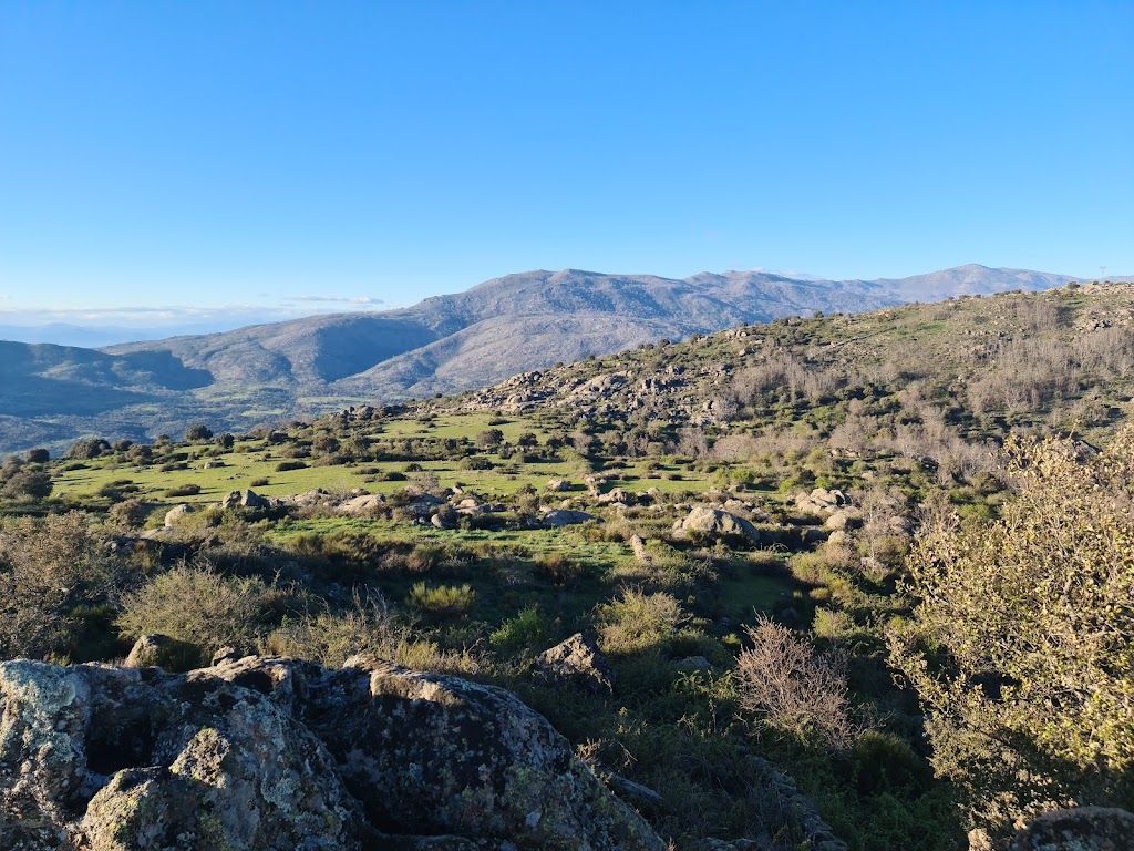 Cancho Pinote