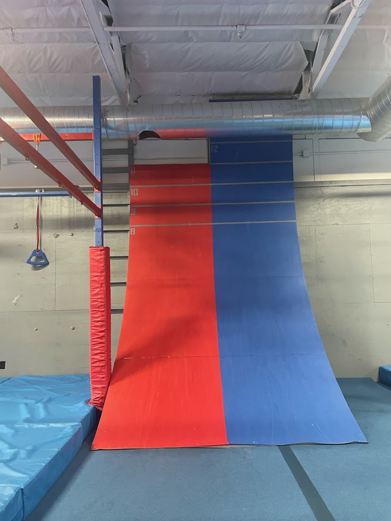  Conquer Ninja Gyms Peoria
