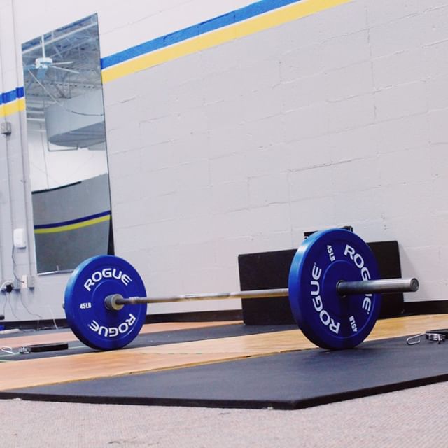  Evolve Fitness and Training