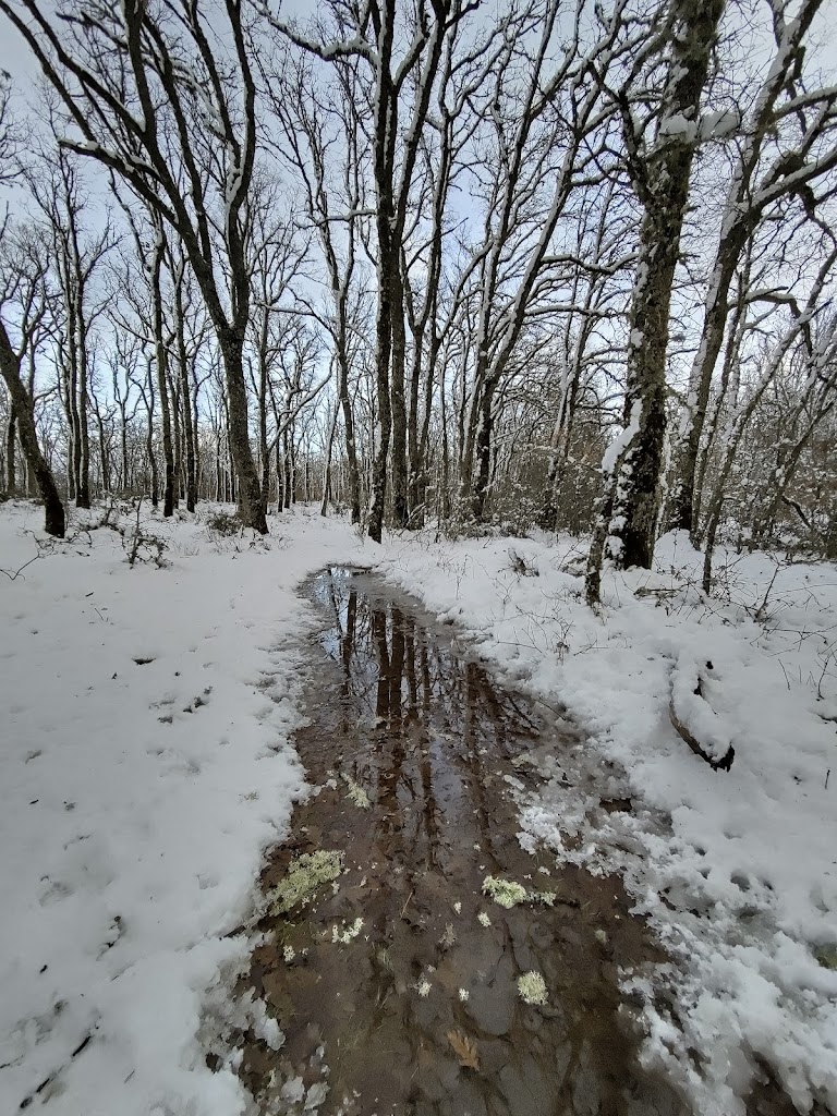 Vallemoso