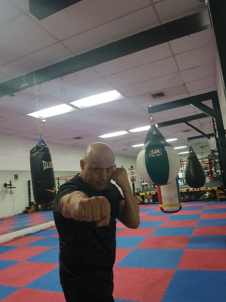  Step Aerobics cardio