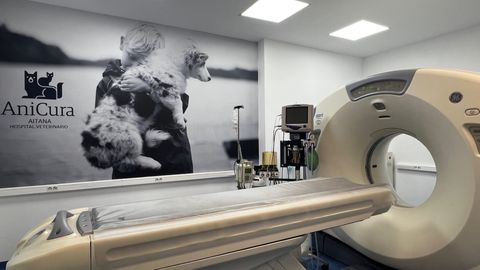 AniCura Aitana Hospital Veterinario