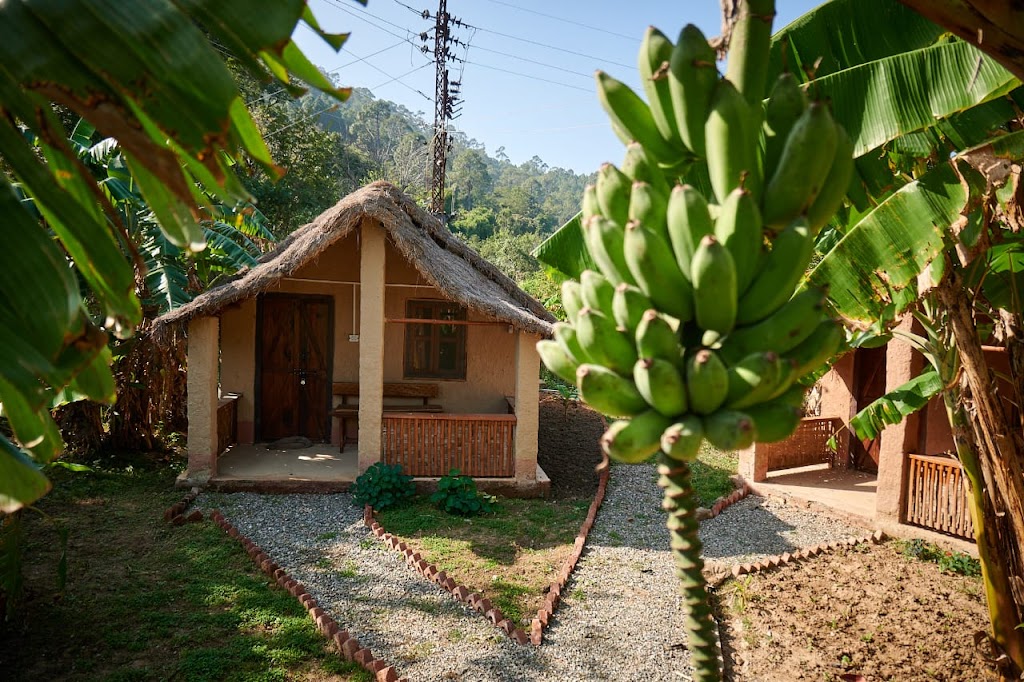 White Clover Hut Colony