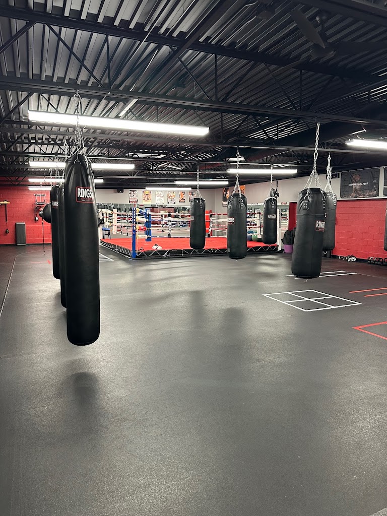  Macomb Boxing Club