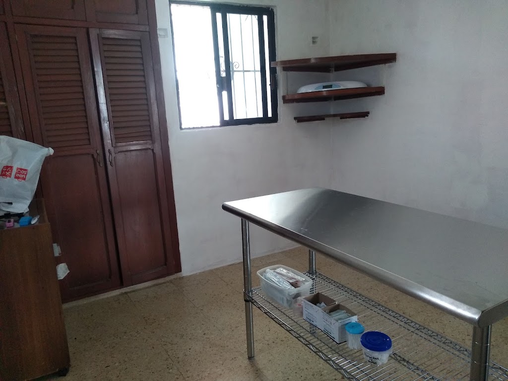 Spay Merida Consultorio Veterinario — Del propietario