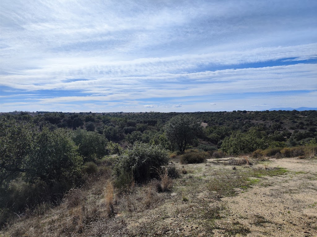 Ruta Valdeniebla