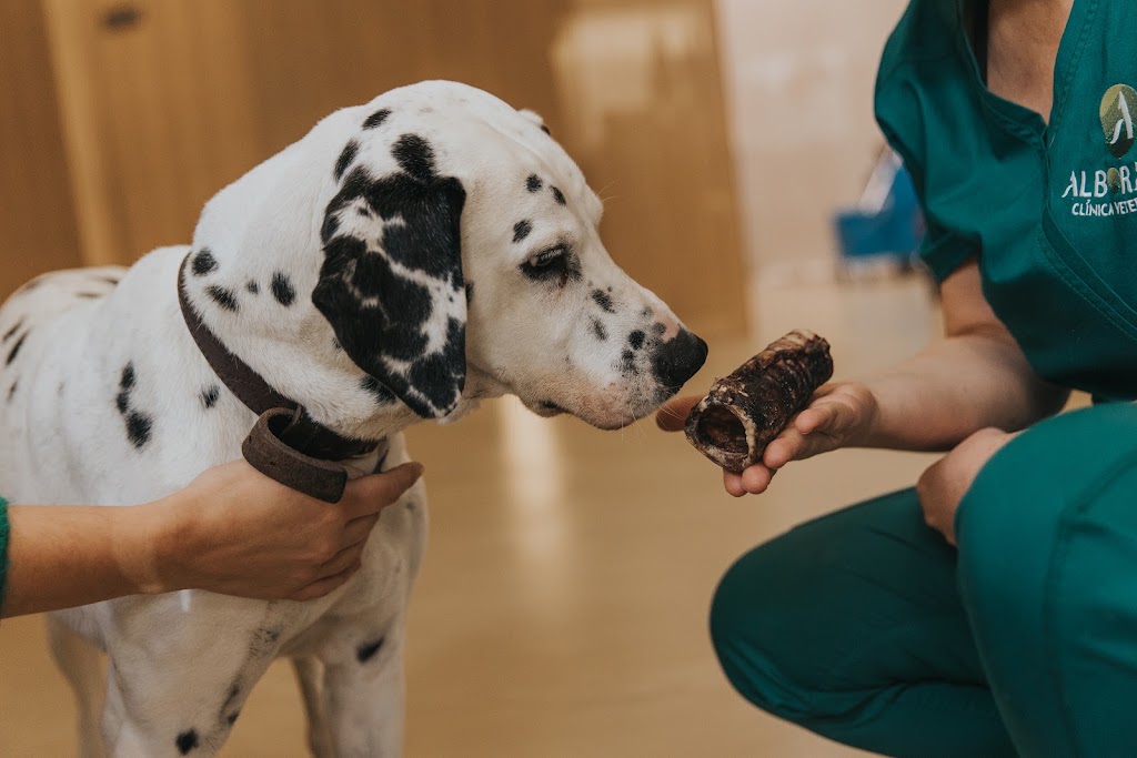 Clinica Veterinaria Alborada — Del propietario