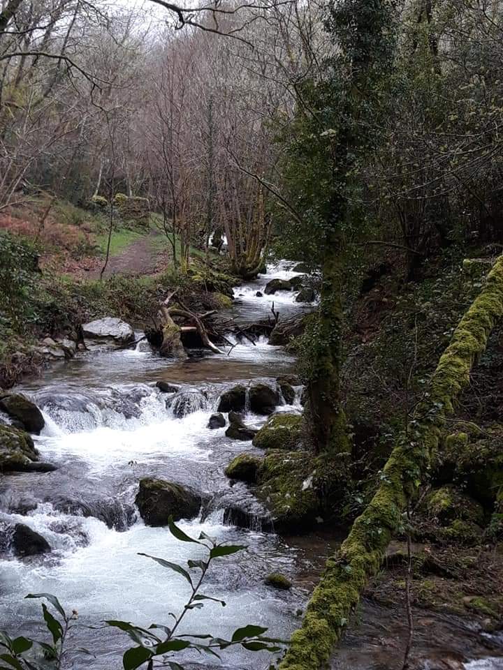 Ruta Freans (Padrenda - Ourense)
