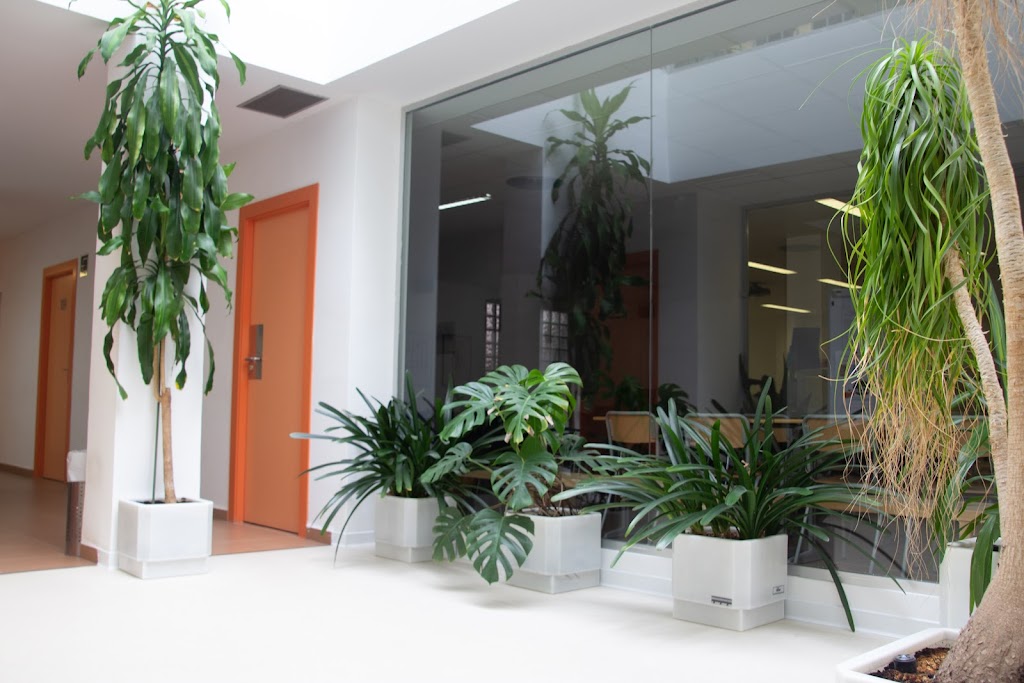 Coop Salus Centro de Formacion Sanitaria