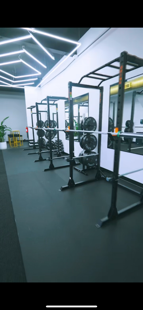  Fierce Lioness Fitness