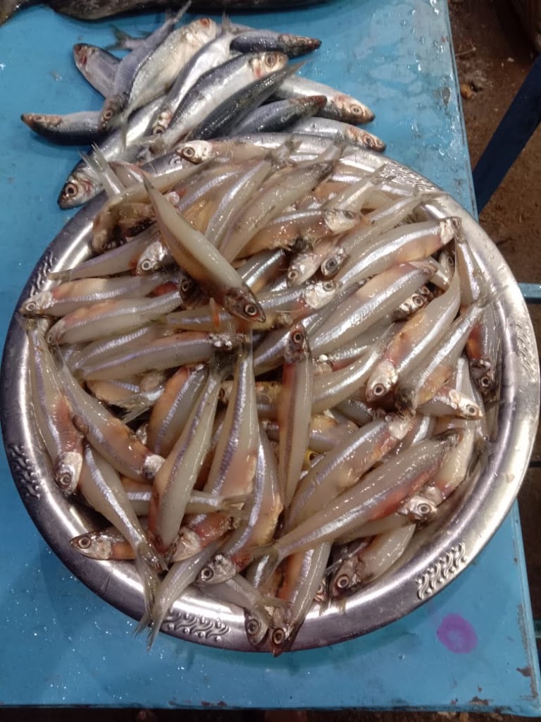 Seafood