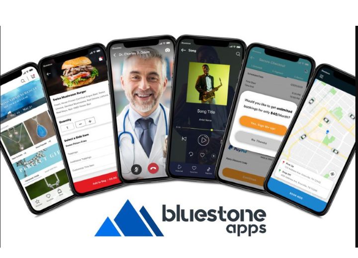 Bluestone Apps Developer