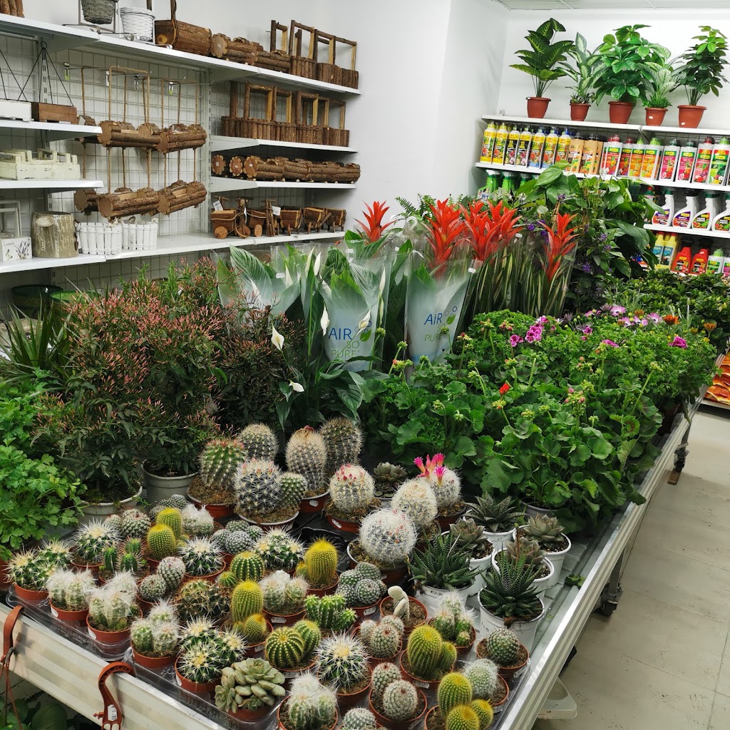 tenyi market basar — Del propietario