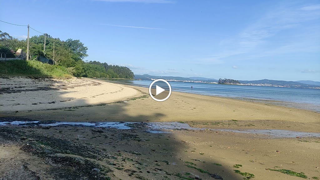 Lagarto Beach Bar — Videos