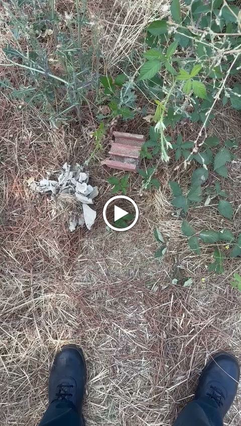 Restaurante Terra Lucia