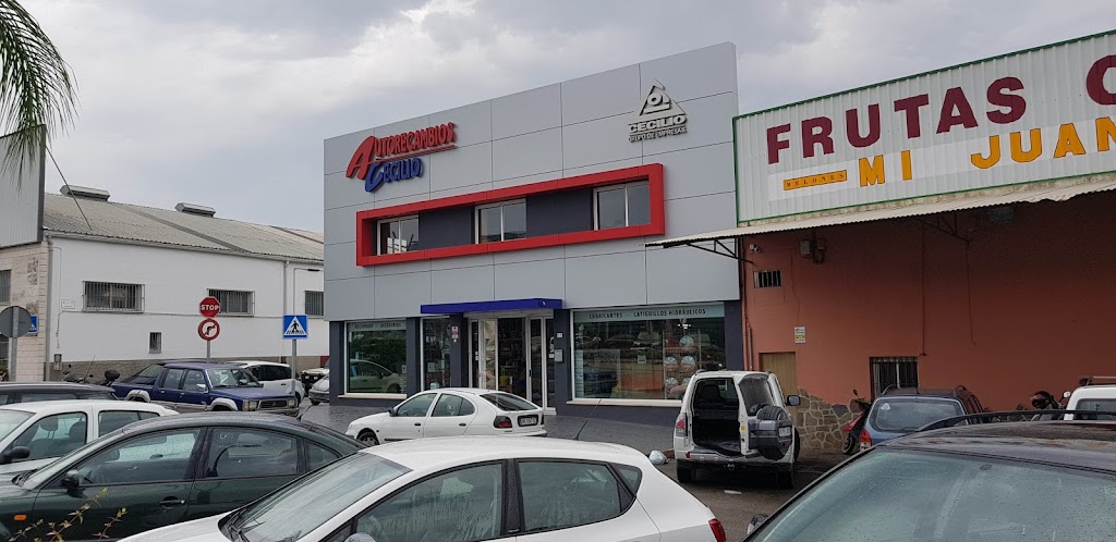 Cecilio Automocion Coin