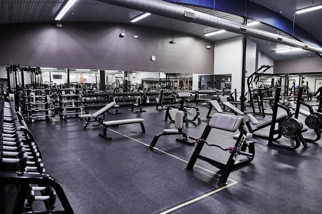  Pure Family Fitness Seaford