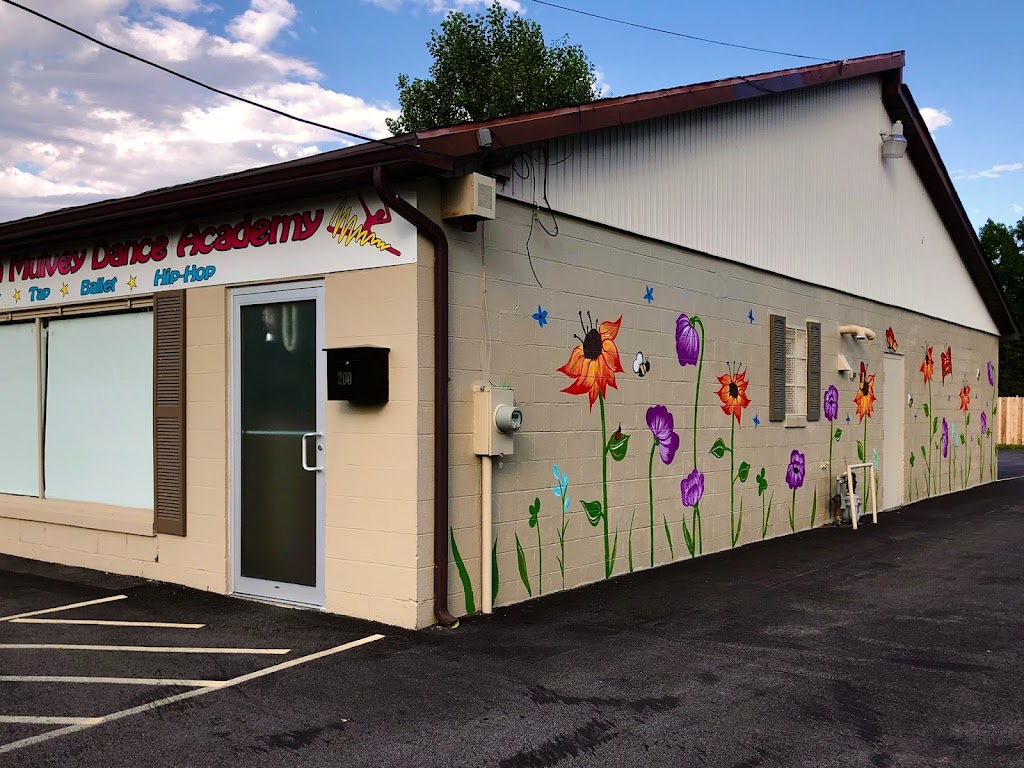  Dyan Mulvey Dance Academy