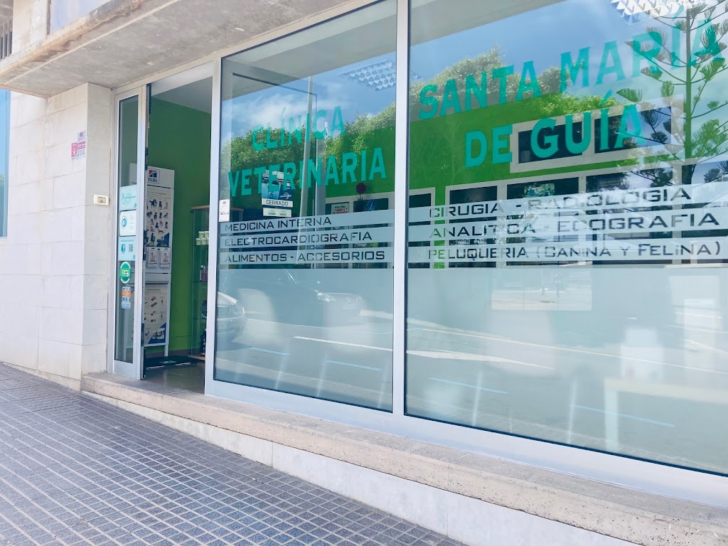 Clinica Veterinaria Santa Maria De Guia