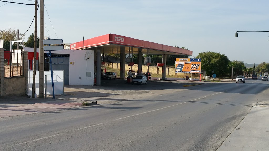 Estacion de servicio Cepsa — Surtidor de combustible