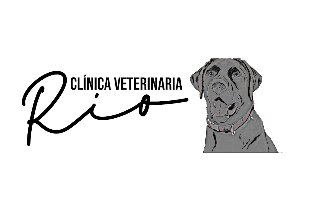 Clinica Veterinaria Rio — Del propietario