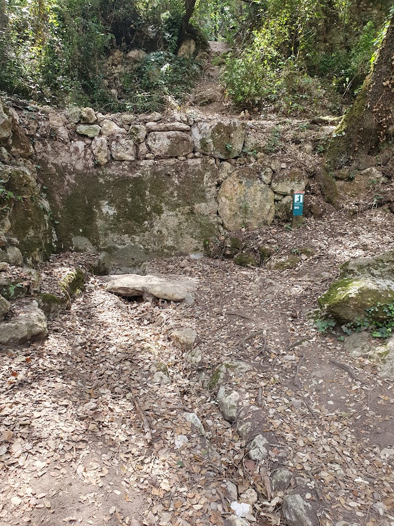Font d'Horta