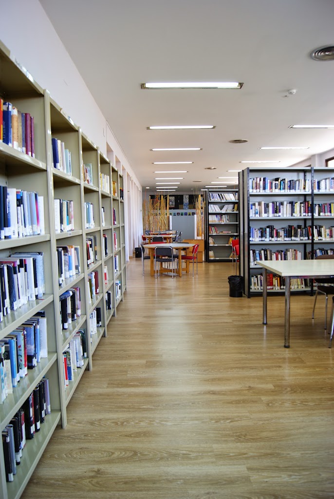 Biblioteca Publica Municipal F. Perez Bayer