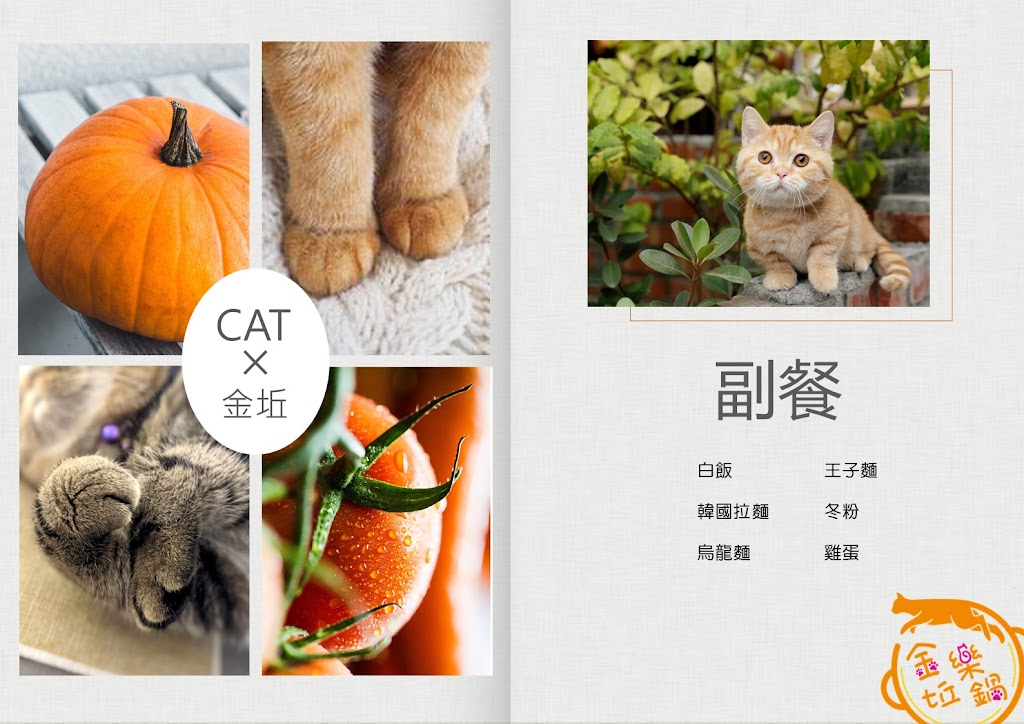 金坵樂鍋-貓主題餐廳 貓咪中途 寵物友善 貓聚 愛心認養 貓大頭 健康火鍋 台北 中和 的照片