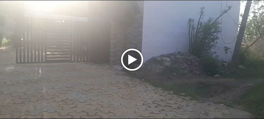 Videos