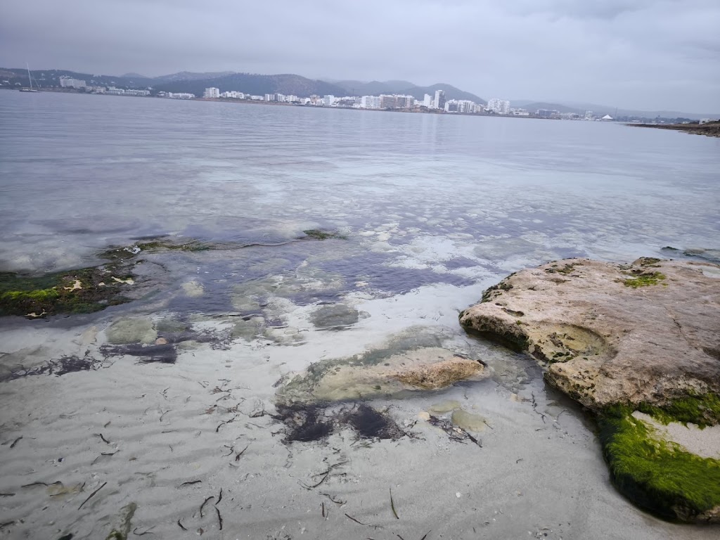 Playa de Sant Antoni — Mas recientes