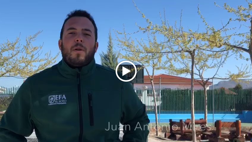 EFA EL SOTO Formacion Profesional — Videos