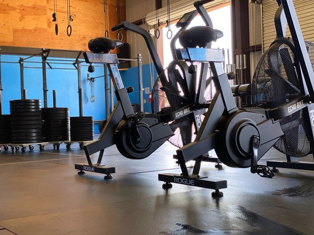  Iron Bear Strength and Conditioning